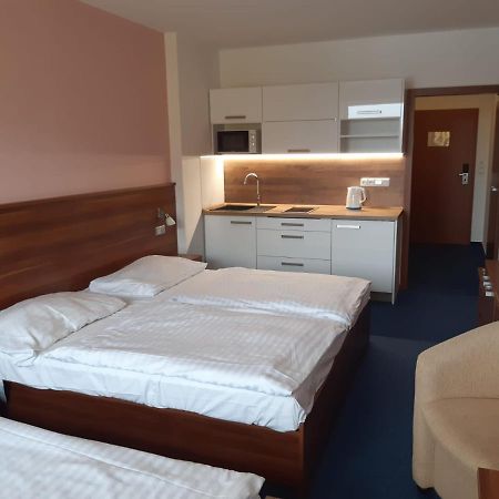 Apartman Wellness Hotel Frymburk Ngoại thất bức ảnh